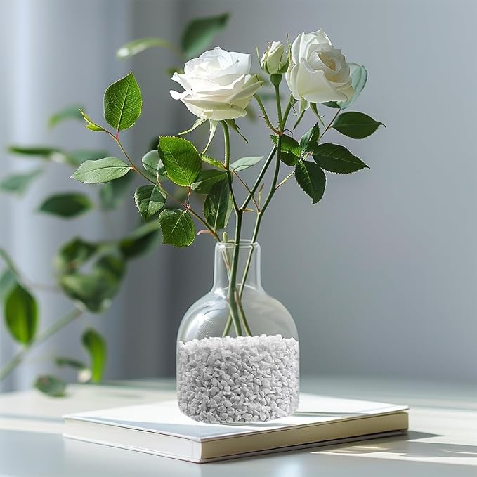 1.1 LB White Succulent Cactus Soil Cover Gravels, Decorative Small Rock | - Image 6