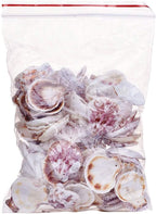 KISSITTY 500 Grams Dyed Scallop Beach Sea Shell Beads - Image 8