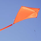 In the Breeze 3298 - Image 3