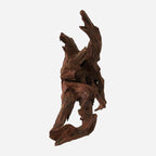 LYPHARD AQUARIUMS Natural Driftwood - Image 2