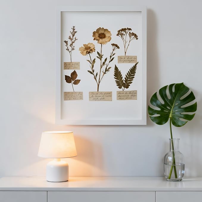 11×14 Shadow Box Frame Display Case - Image 5