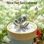 FANTIAN 5lbs Natural White Pea Gravel Pebbles - Image 6