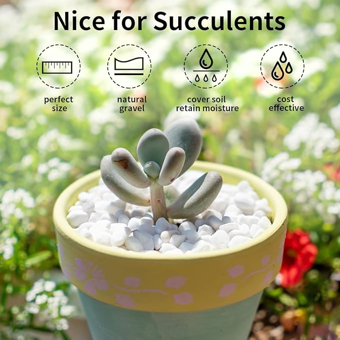 FANTIAN 10LB Natural Succulent Gravel Decorative White Rocks - Image 3