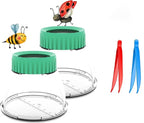 Bug Viewer for Kids 5X Magnifying Insect Observation Kit Built-in 7cm Ruler by RORANIC-DeliveringHappiness
