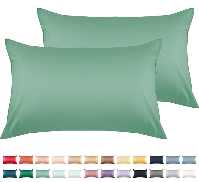 Warmstar Cotton Pillow Cases King Size Set of 2, 600 Thread Count Pillowcases by Warmstar