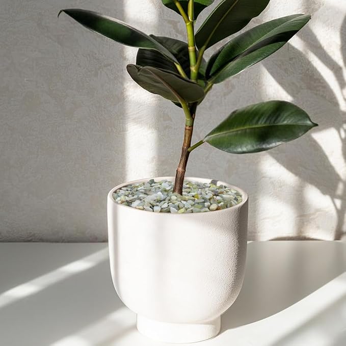 YISZM 10LB Succulent and Cactus Pebbles, 1/5 Inch Jade Natural Decorative - Image 5