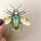50PCS Transparent Watercolor Insect Stickers, Waterproof PET Decals, Colorful - Image 2