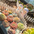 Fairy Garden Miniature Fence Accessories: Decorative White Wooden Picket Fence - Image 5