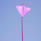 In the Breeze 3295 - Image 3