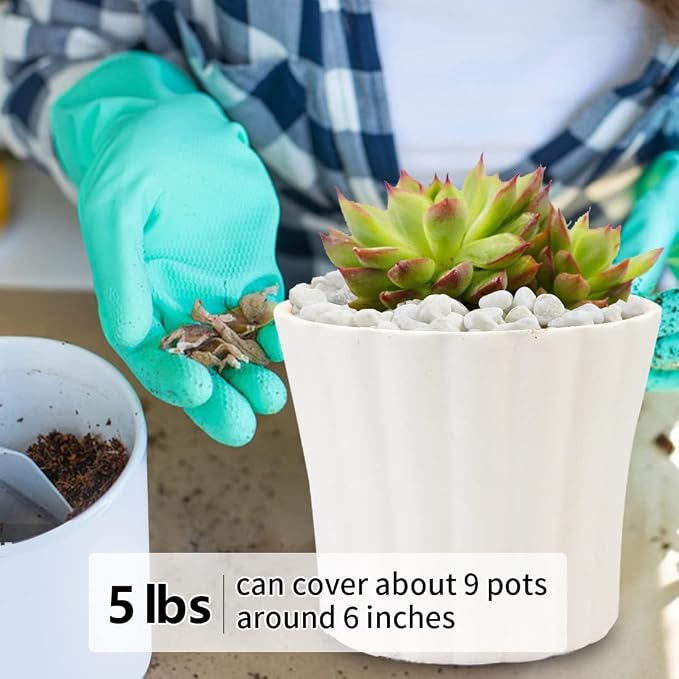YISZM 5LB Succulent and Cactus Gravel Pebbles, 1/5 Inch White Natural - Image 4