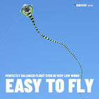 SGftre Complete Kite with Handle, Line & Accessories, Family Outdoor Activities - Image 2