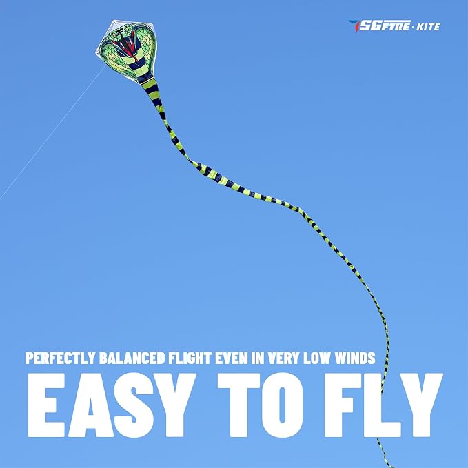 SGftre Complete Kite with Handle, Line & Accessories, Family Outdoor Activities - Image 2