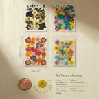 Tessera 160+ Pcs Real Pressed Flowers - Image 2