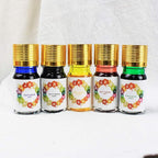 GIFTS Calligraphy Pen Set, 12-Piece Kit, 5 Nib & 5 Ink Set, Writing Quill Pen - Image 2