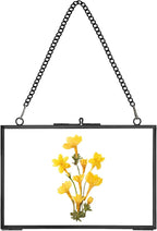REDHUGO Hanging Pressed Flower Frame Handmade, Double Glass Picture Frame by REDHUGO