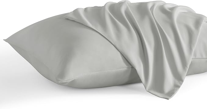 NTBAY Queen Pillow Cases Set of 2, 2 Pack Brushed Microfiber 20x30 Pillow Cases by NTBAY