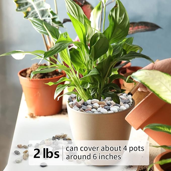 YISZM 2LB Succulent and Cactus Gravel Pebbles, 1/5 Inch Natural Decorative - Image 4