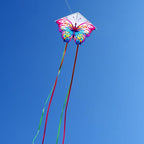 HENGDA KITE 2 Pack Butterfly Kite, - Image 5