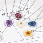 Natural Dried Daisy Flower, Vacuum Packaging, Pressed Flower - Image 5