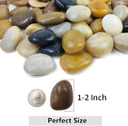 YISZM 20lbs Pebbles for Indoor Plants, 1-2 Inch Mixed Color High Polished River - Image 2
