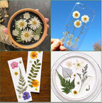 204 Pcs Dried Pressed Flowers for Resin Crafts, Real Natural Pressed Flowers - Image 8