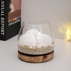 20PCS Large Natural Scallop Shells, DIY Painting, Baking and Beach Wedding - Image 4