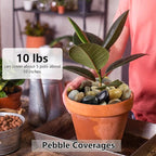 YISZM 20lbs Pebbles for Indoor Plants, 1-2 Inch Mixed Color High Polished River - Image 3
