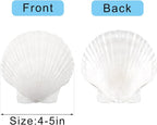 10PCS Large Natural Scallop Shells, DIY Painting, Baking and Beach Wedding - Image 2
