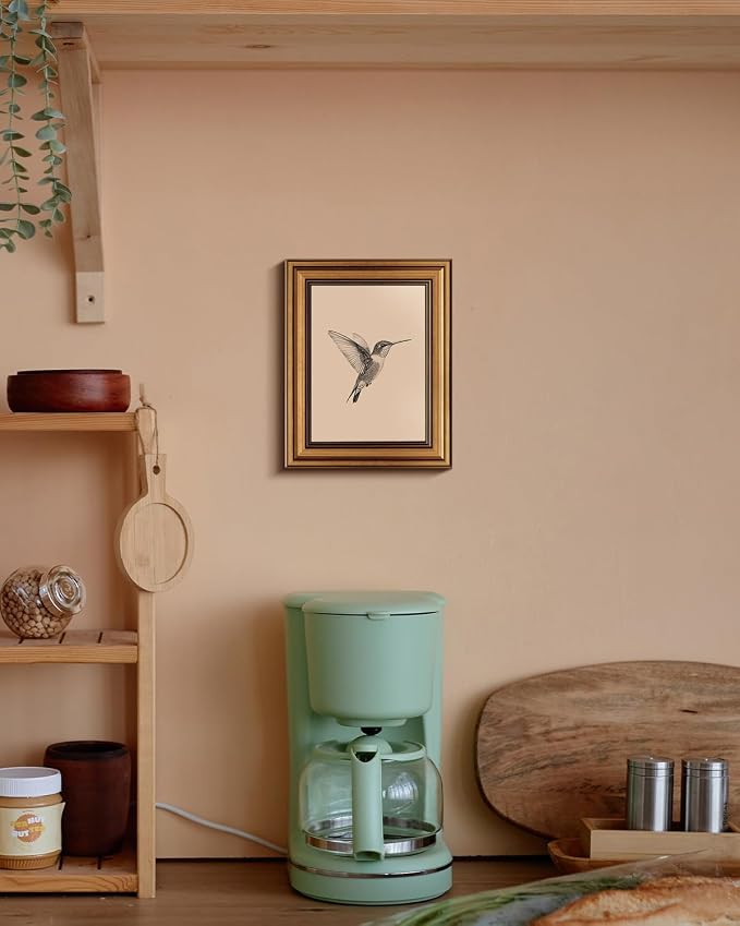 VIYYIEA Vintage Gold Framed Wall Art – Hummingbird Sketch, 8x10 IN | Cute yet - Image 6