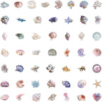 50 Pieces Sea Shell Themed Transparent Stickers - Image 2