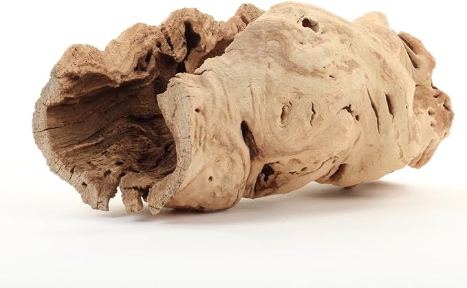 Koyal Wholesale 10" Hollow Grapewood Branch Decor 1Pcs Grapewood Centerpiece by KoyalWholesale