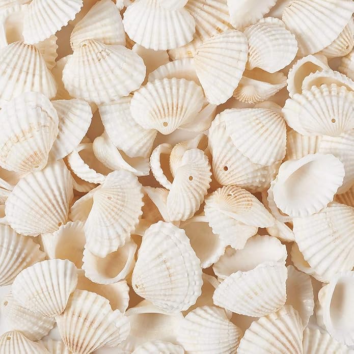 Beadthoven Box of 117pcs Natural Clam Shell Pendants 21.5-24.5x8.5-11.5 Beach - Image 3