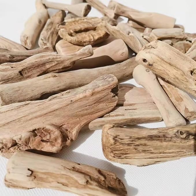 20 Pcs Natural Driftwood Pieces Branch Slices Craft Sticks Beach Decor DIY - Image 8