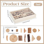 PH PandaHall Wooden Unfinished Craft Kits Natural Wood Slices Wooden Art Paint - Image 2