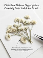 100Pcs Mini Dried Pressed White Baby's Breath Flowers Bulk - Image 4