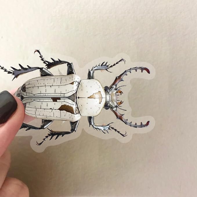 50 PCS Realistic Beetle Stickers - Image 7