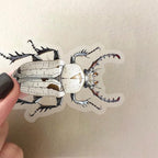 50 PCS Realistic Beetle Stickers - Image 7
