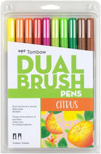 Tombow 56196 Dual Brush Pen Art Markers, Brush and Fine Tip Markers by Tombow