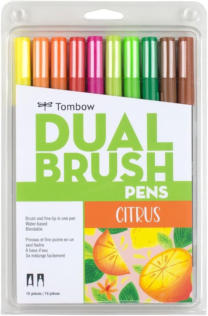 Tombow 56196 Dual Brush Pen Art Markers, Brush and Fine Tip Markers by Tombow