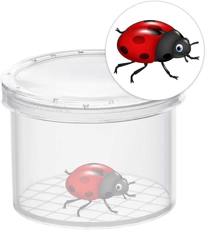 Coopay 20 Pcs Bug Jars Critter Insect Cage Magnifying Insect Box Bug Magnifier - Image 3