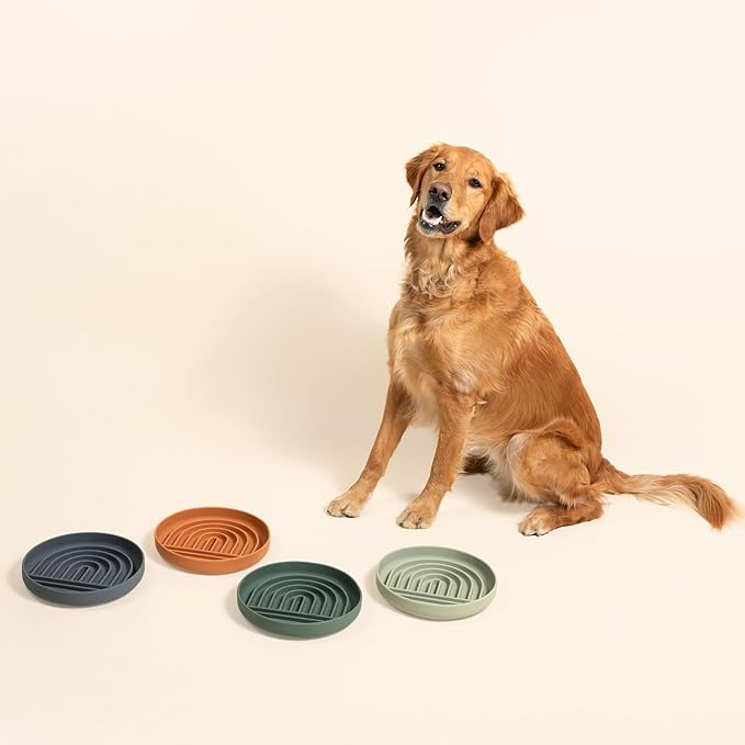 Should We Go? Slow Feeder for Dogs & Puppies, The Slowdown Bowl Silicone Slow Eating, Modern Lick Mat Design, Reduces Gulping, Fits 2.5 Cups, 9.5” Across x 1.5” Tall, Mealtime Challenge, Large-Sage