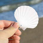 24Pcs Scallop Shells White Natural Seashell 2"-3" Perforation Scallop Shells - Image 6