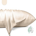 100% Mulberry Silk Pillowcase 2 Pack, Queen Size Silk Pillow Cases by Unknown