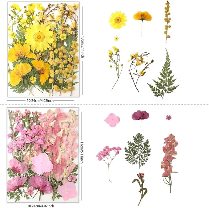 80Pcs Pressed Flowers, Dried Flowers Natural Pressed Flowers Bulk - Image 3