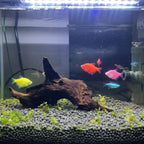 EmoursTM Aquarium Sinkable Driftwood Fish Tank Decoration - Image 3