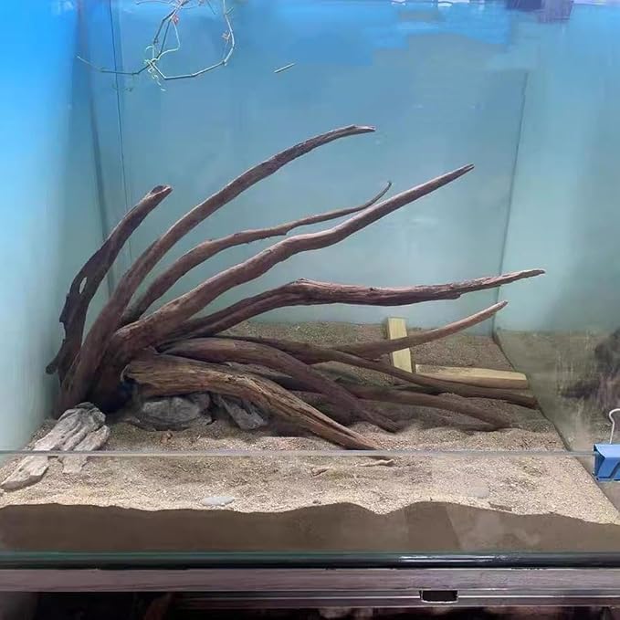 AWXZOM Aquarium Driftwood Branches, 2.2lb 9-14inch Long Driftwood - Image 6