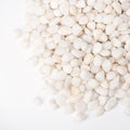 Pulovin 2.5 lbs White Pebbles for Vases, 3/8" Small Plant Stones for Pots Indoor by GardenSteward