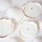 Jangostor 10 PCS Scallop Shells Natural Seashell, Fish Tank and Vase Filler - Image 7