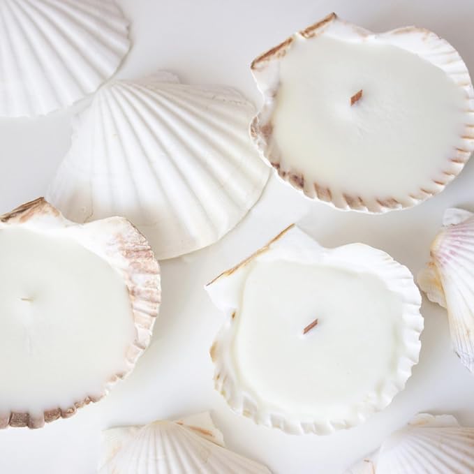 Jangostor 10 PCS Scallop Shells Natural Seashell, Fish Tank and Vase Filler - Image 7