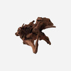 LYPHARD AQUARIUMS Natural Driftwood - Image 3